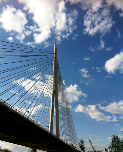 istock Ada Bridge in Belgrade, Serbia 688067374