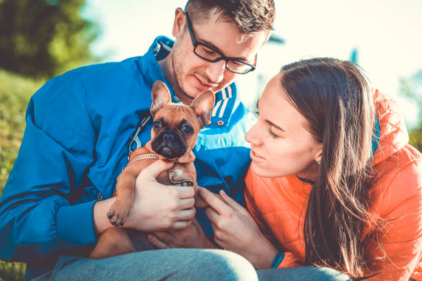 istock Our cute little puppy 688067392