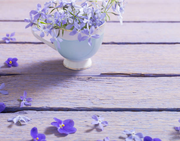 istock spring flowers on wooden background 688068758