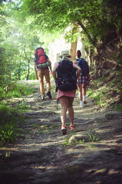 istock Group of backpackers hiking 688085770