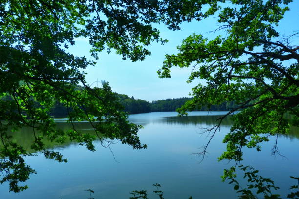istock Konopiste Lake, Czech Republic 688085946