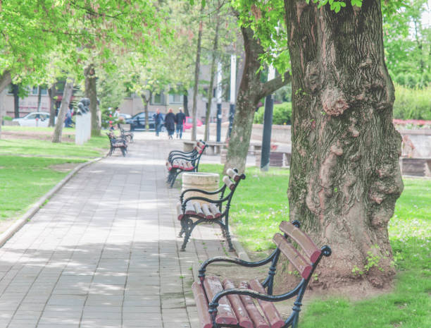 istock Old park bench in the city with green lawn 688090634