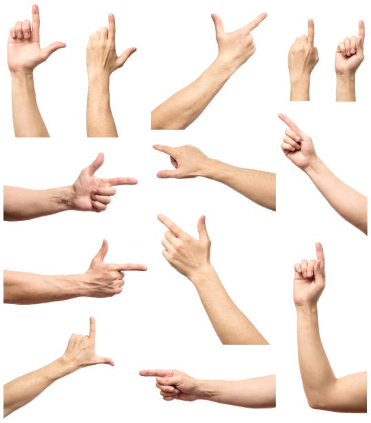 istock Collection of isolated male hands touch, point  or click to something 688095654