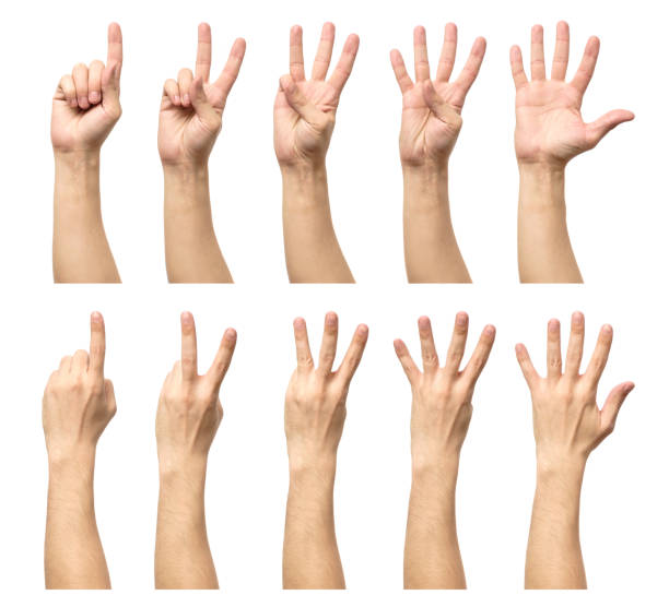 istock Five counting male hands isolated on white background 688095664