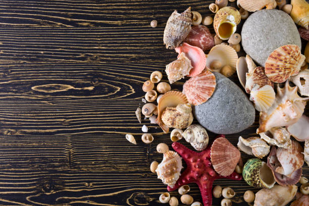 istock Beach accessories on wooden board 688102998