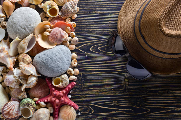 istock Beach accessories on wooden board 688103002