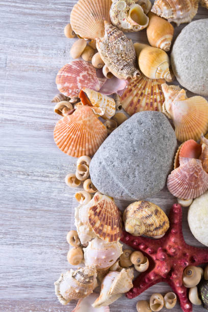 istock Beach accessories on wooden board 688103026