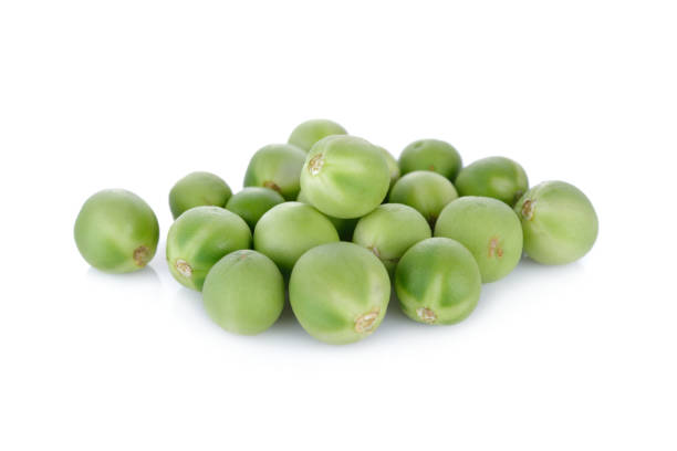 istock pea eggplant or turkey berry on white background 688106974
