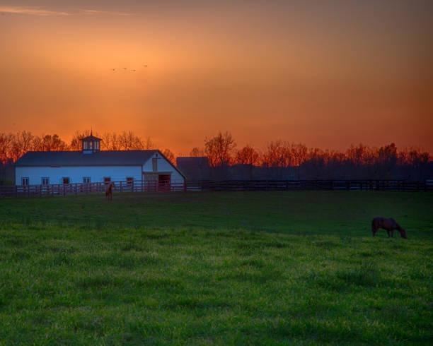 istock Kentucky Horse Barn at Sunset 688107410
