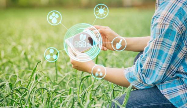istock farmer inspecting garlic in agriculture 688107890
