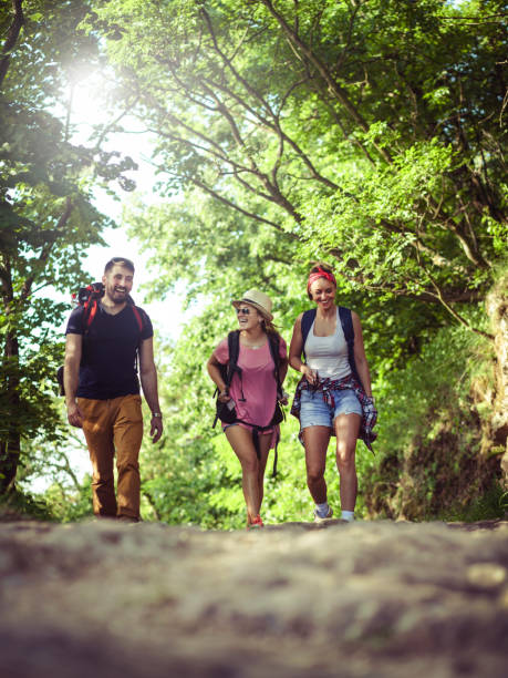 istock Group of backpackers hiking 688110282