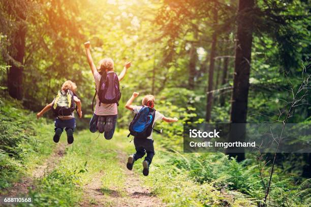 Happy Little Hikers Jumping With Joy Stock Photo - Download Image Now - Child, Forest, Woodland