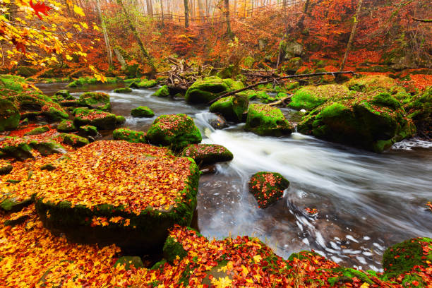 istock Irrel cascades in the South Eifel, Germany 688117236