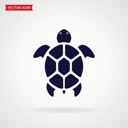 Turtle icon isolated on white background. Sea animal. Vector symbol.