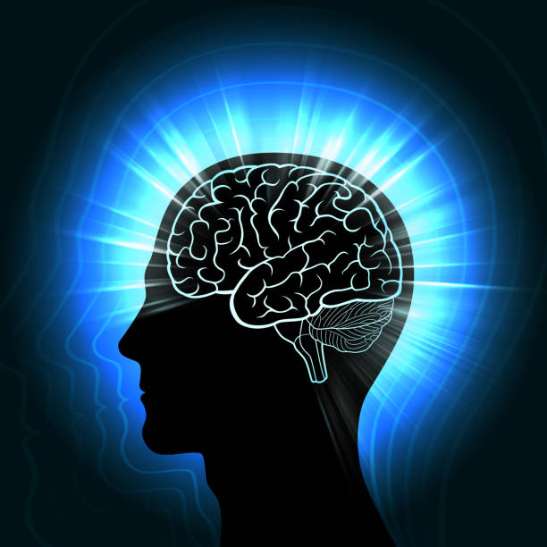 istock Shining a human head with a glowing outline of the brain and radiating waves 688121868