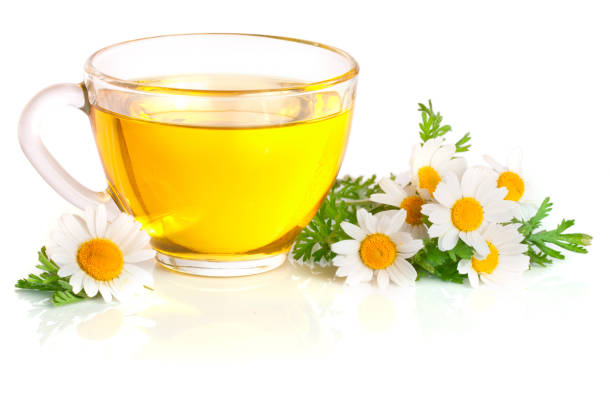 istock Herbal tea with fresh chamomile flowers isolated on white background 688124686