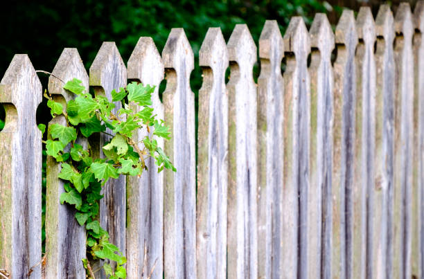 istock wooden fence 688124844