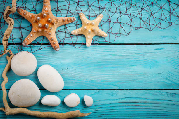 istock Starfish, pebbles and shells lying on a blue wooden background . There is a place for labels 688128356