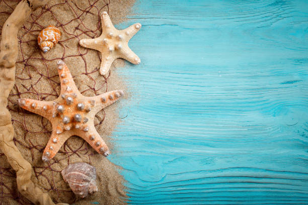 istock Starfish, pebbles and shells lying on a blue wooden background . There is a place for labels 688128452