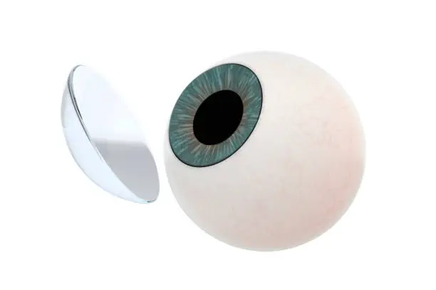 Human Eyeball and a contact lens on a white background with a clipping path.