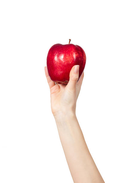 istock Woman's hand holding a red apple on white background 688140604