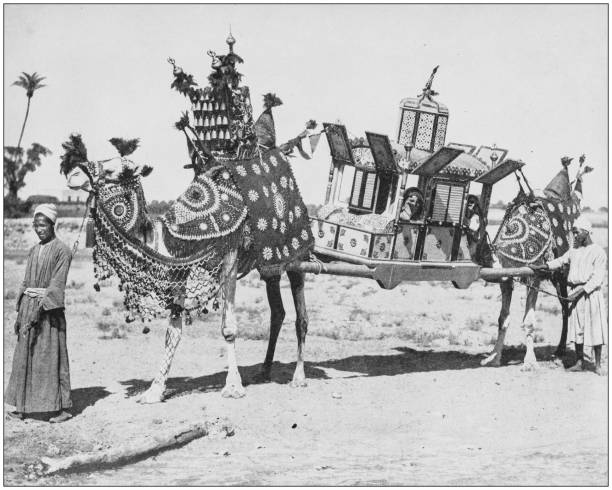 거룩한 땅, 이집트 및 중동의 사진 골동품: 결혼식, 카이로 - historical geopolitical location transportation 19th century style old stock illustrations