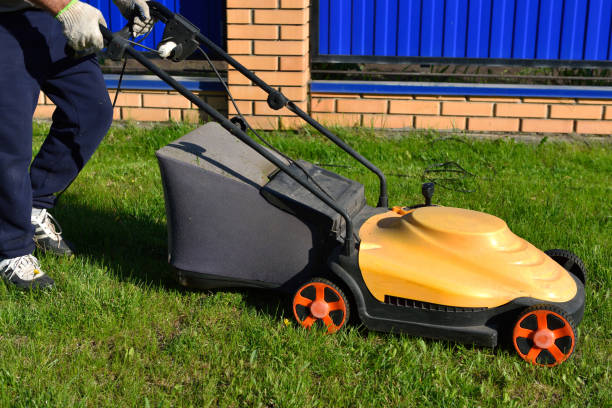 istock Man cutting grass with a lawn mower 688151164