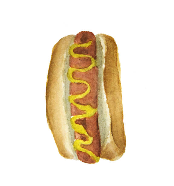 Hot dog watercolor painting illustration isolated on white background Hot dog watercolor painting illustration isolated on white background hot dog stand stock illustrations