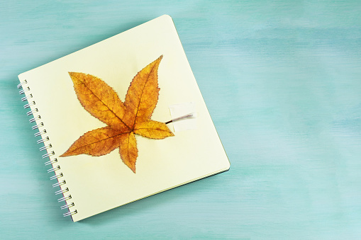 An overhead photo of a herbarium, a spiral notebook with a taped autumn maple leaf, on a teal background, with a place for text