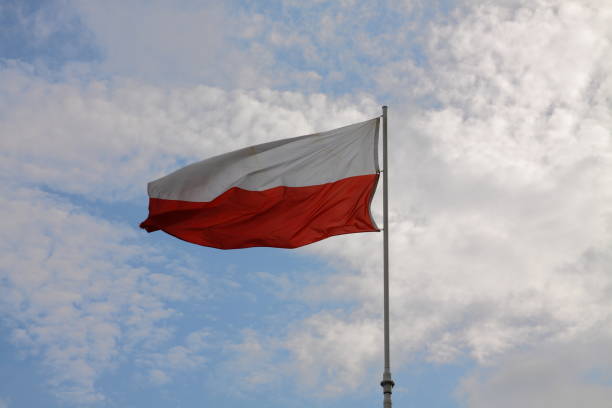 istock Polish flag on mast 688177810