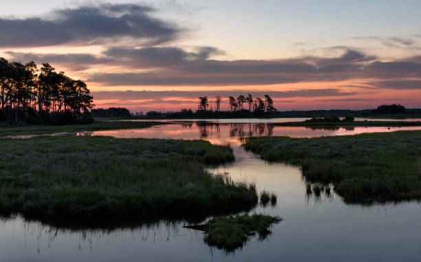 istock Dramatic Sunrise with Clouds Reflecting in Water of Salt Marsh 688182986