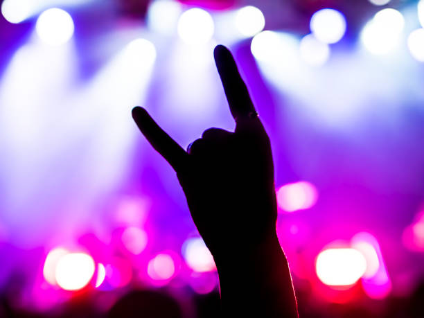 istock cheering crowd at a rock concert 688185916