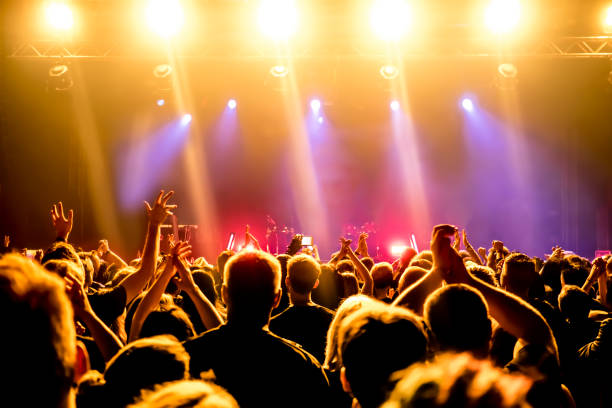 istock cheering crowd at a rock concert 688186496