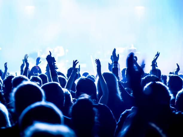 istock cheering crowd at a rock concert 688187152