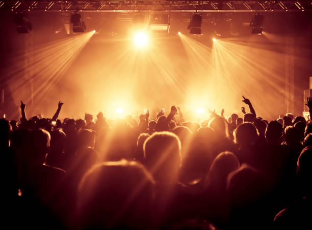 cheering crowd at a rock concert stock photo