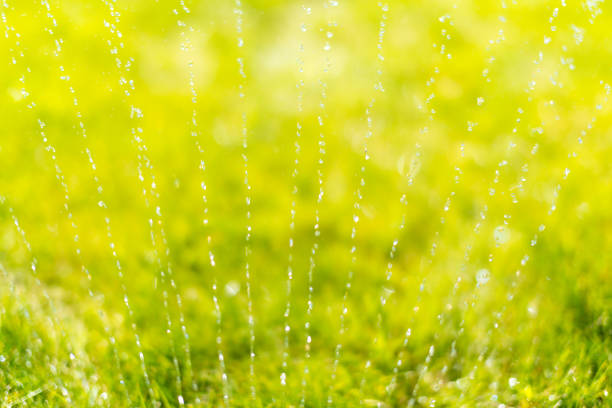 Irrigation system on grass at public park.