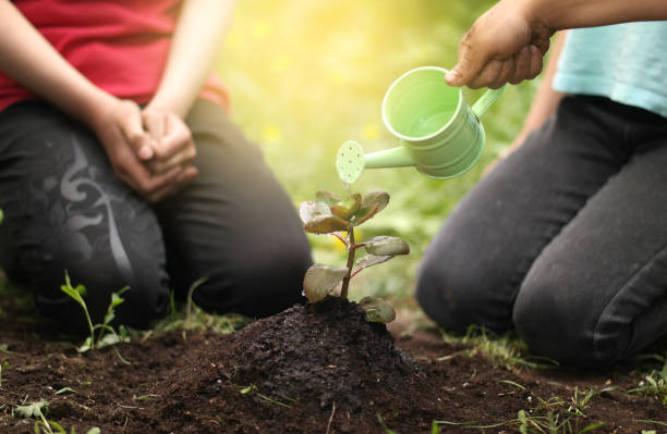 istock Child cares for plants 688191464