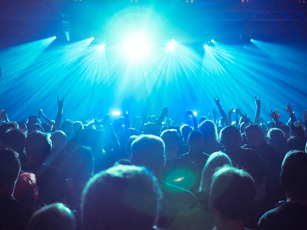 istock cheering crowd at a rock concert 688191564