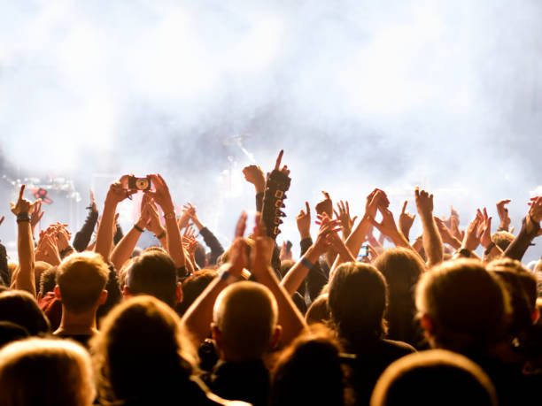 istock cheering crowd at a rock concert 688192114