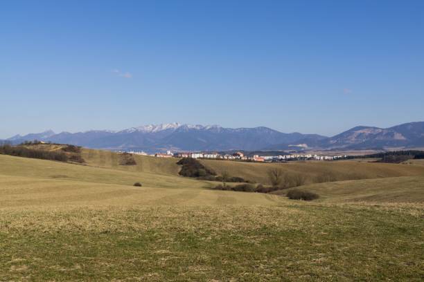 istock Meadow with trees and views to mountains and toen. 688199584