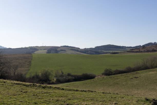 istock Meadow with trees and views to mountains and toen. 688199612