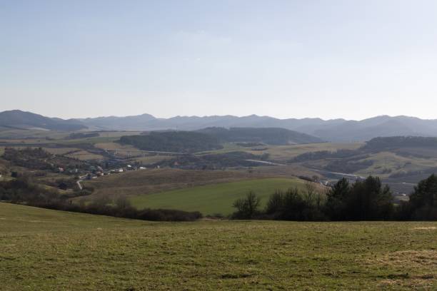 istock Meadow with trees and views to mountains and toen. 688200354