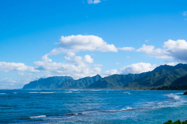 istock Tropical Paradise Beach Oahu Hawaii 688206566