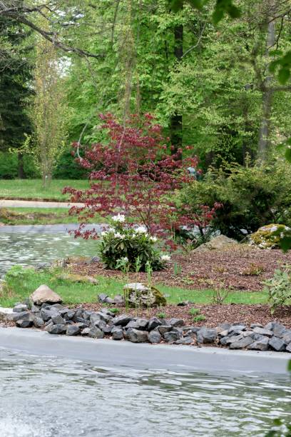 istock Water fountain in park among trees 688211608
