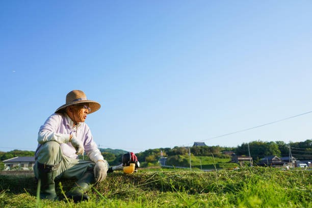 istock My grandfather work in the field 688214136