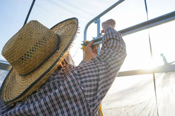 istock Old man to work in the greenhouses 688214412