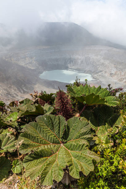 istock Poas volcano national park, Costa Rica 688214958