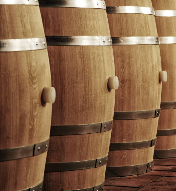 istock Wine barrels in wine-vaults in order 688221158