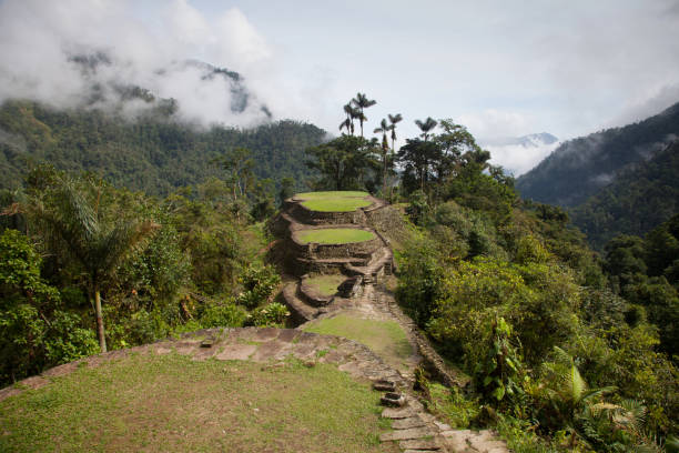 istock Lost City, Colombia 688226922