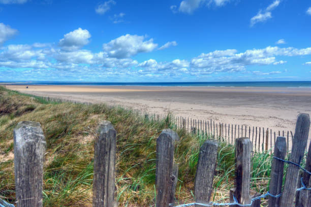 A stormy sunset on a gusty night with golden light catching the wind blown marram grass on the sand dunes, looking down to a sandy beach and out to sea, at Druridge Bay, Northumberland.